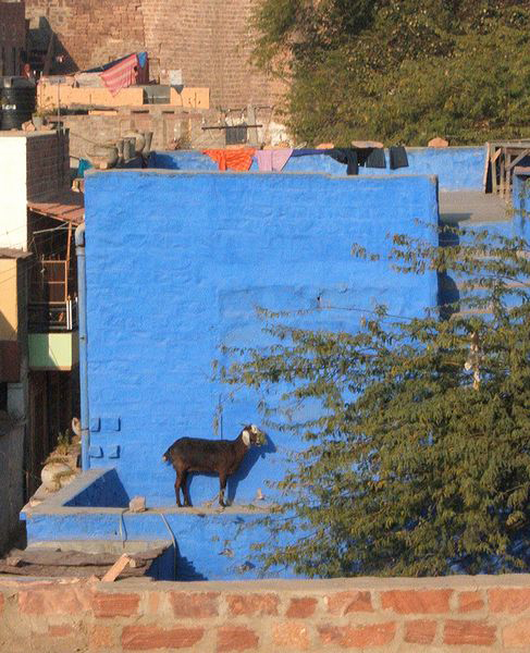 Jodhpur