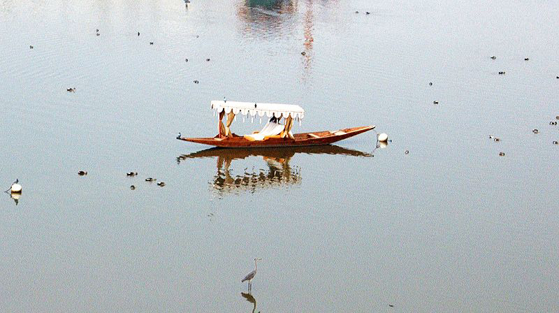 Transport