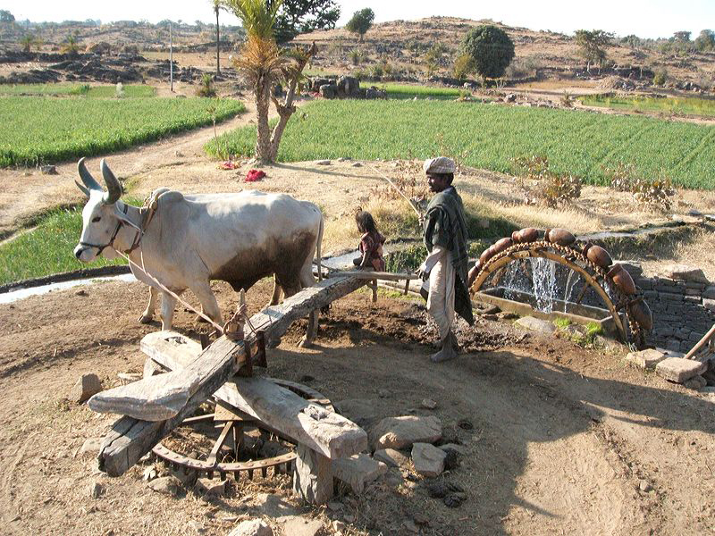 WaterWheel